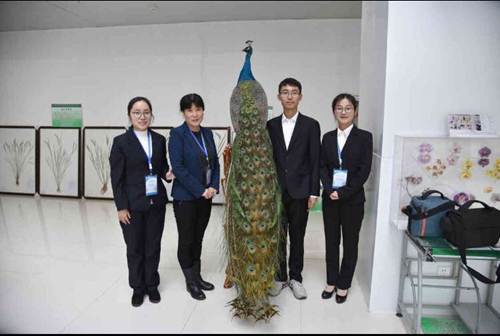 完美网页版师生在2017年辽宁省普通高等学校本科大学生动植物标本制作大赛中获得佳绩