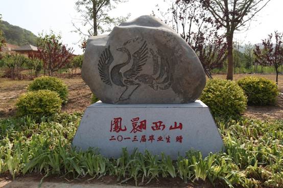 完美网页版荣获2013年度大连市青山生态系统工程建设绿化先进单位荣誉称号