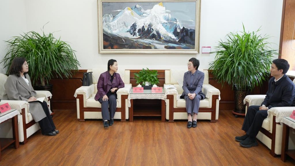 民进大连市委会领导来完美网页版调研